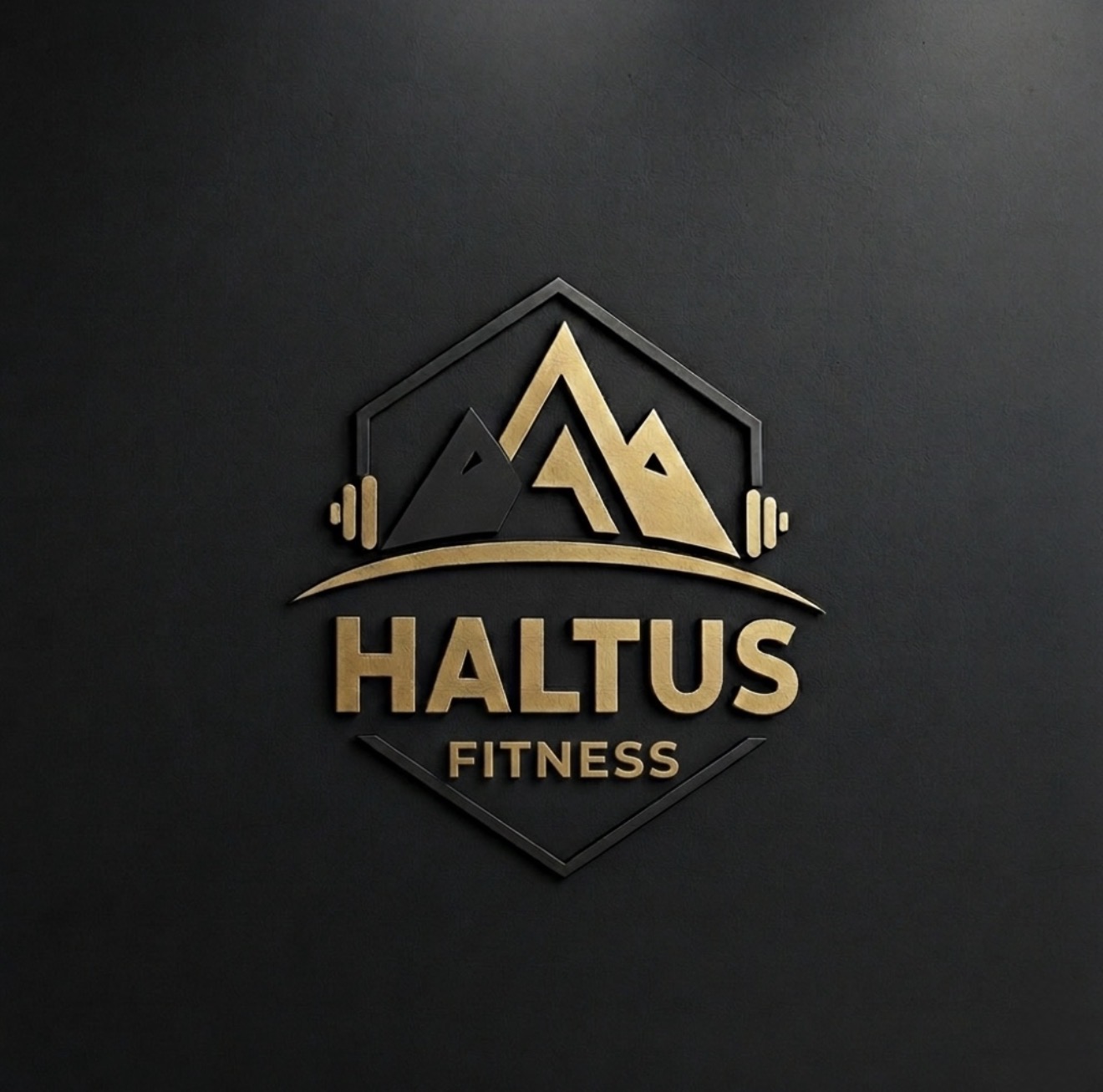 Haltus Fitness